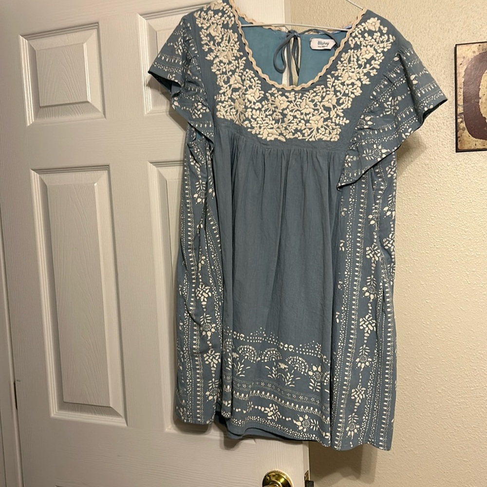 BluIvy Embroidered dress size L